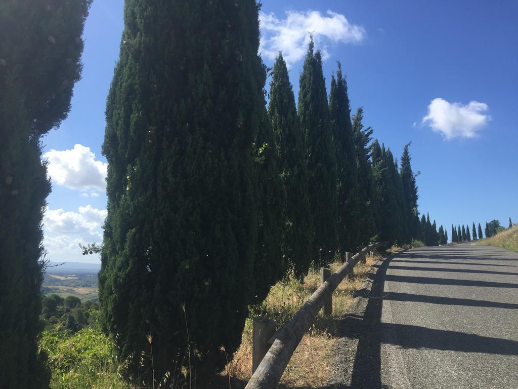 Bed & Breakfast Locanda Il Sigillo B&B E Ristorante Rosignano Marittimo